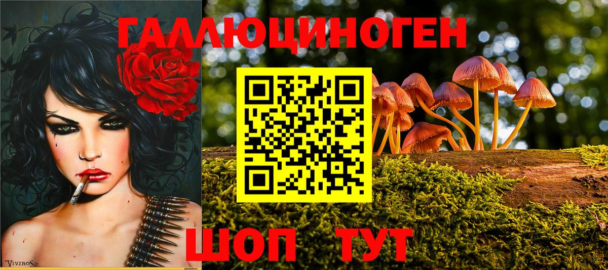 Нарткала  Марихуана  Вход с VPN  ГАШ  МЕФ   А ПВП СОЛЬ  
