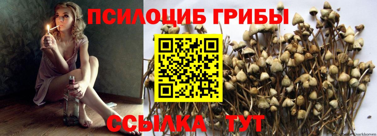 Галлюциногенные грибы прущие грибы Нарткала